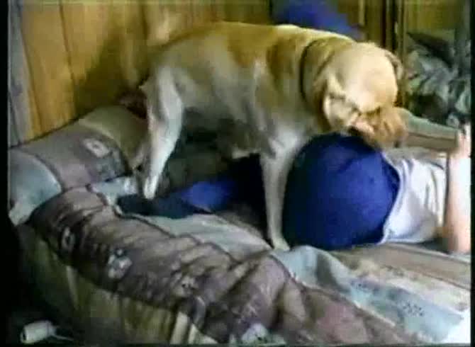Video :Horny dog pounds hard the pussy of its pet owner in pet porn